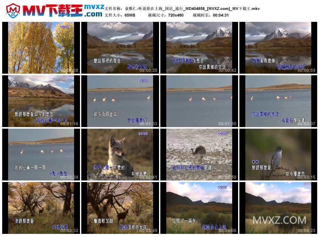 袁惟仁-听说你在上海_国语_流行_MD404858